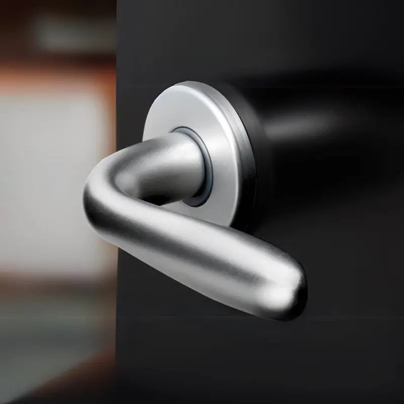 Brackle maniglia per porta patri, finitura cromo satinato, immagine 2