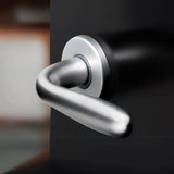 Brackle maniglia per porta patri, finitura cromo satinato, immagine 2
