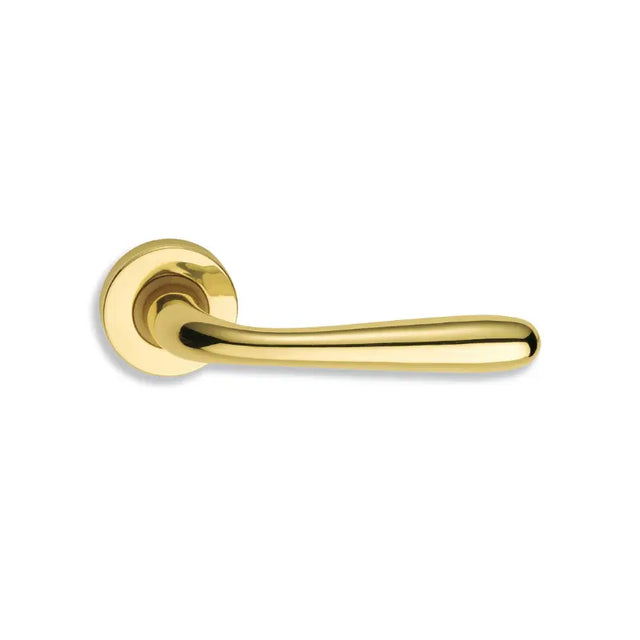 Brackle maniglia per porta patri, finitura ottone lucido, immagine 1