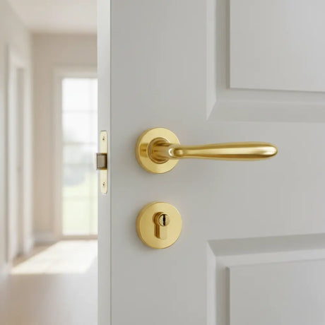 Brackle maniglia per porta patri, finitura ottone lucido, immagine 2